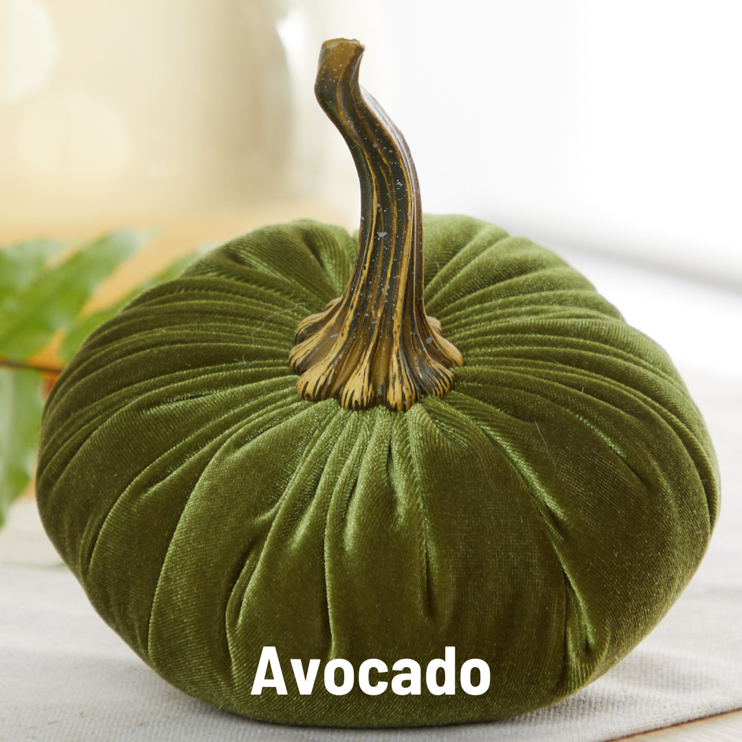 Pumpkin Large Velvet - Bronze