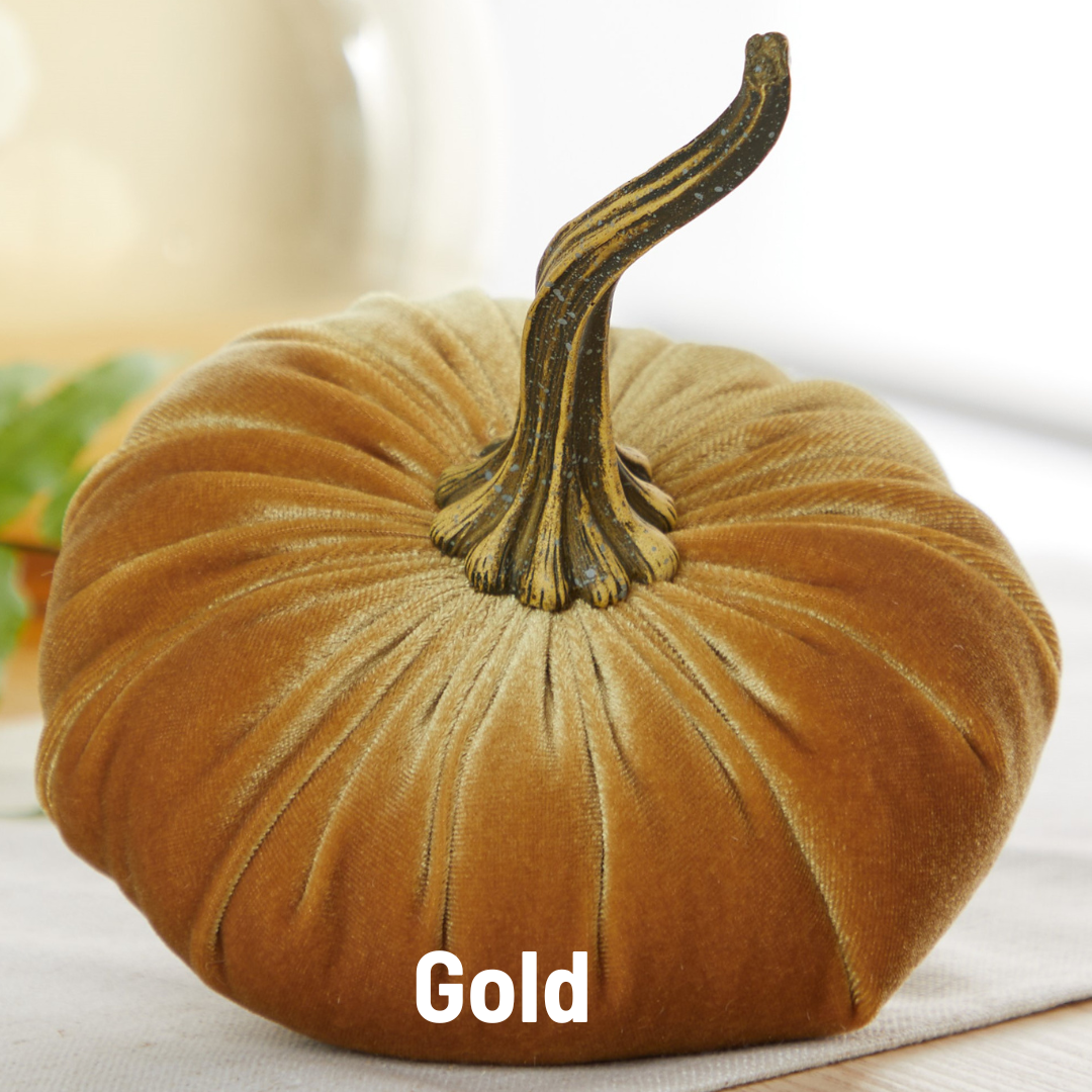 Pumpkin Large Velvet - Slate Blue