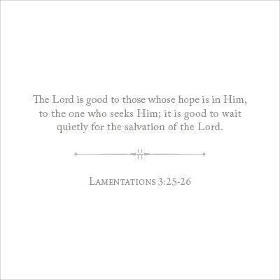 100 Days of Scripture