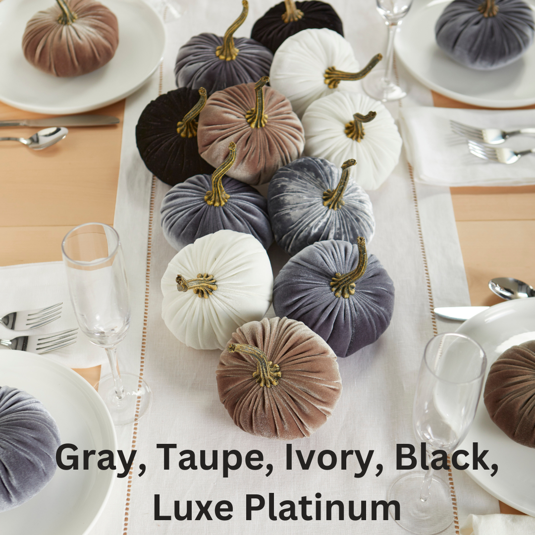 Pumpkin Small Velvet - Ivory