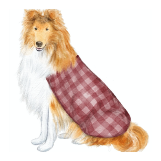 Her Majesty, Maroon Frosted Cups - 16 oz