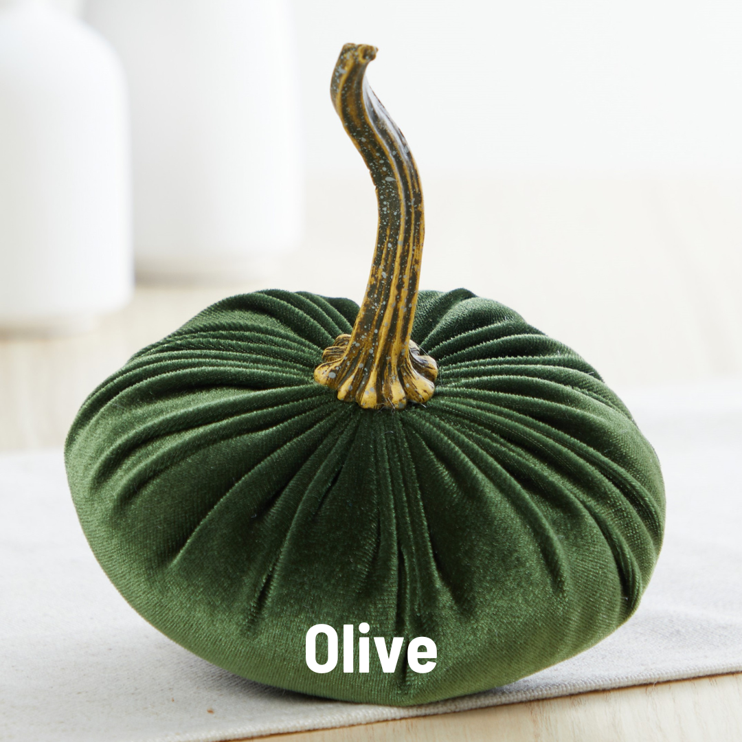 Pumpkin Small Velvet - Harvest