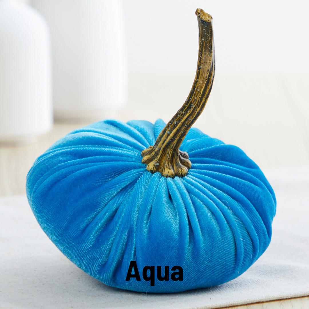 Pumpkin Small Velvet - Ivory