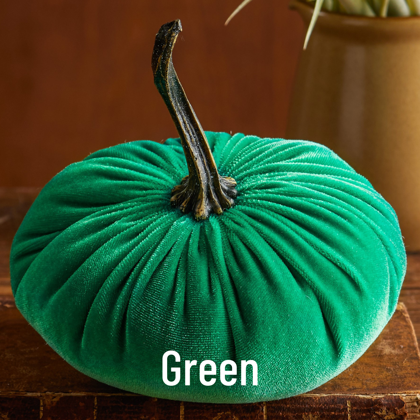 Pumpkin Large Velvet - Bronze