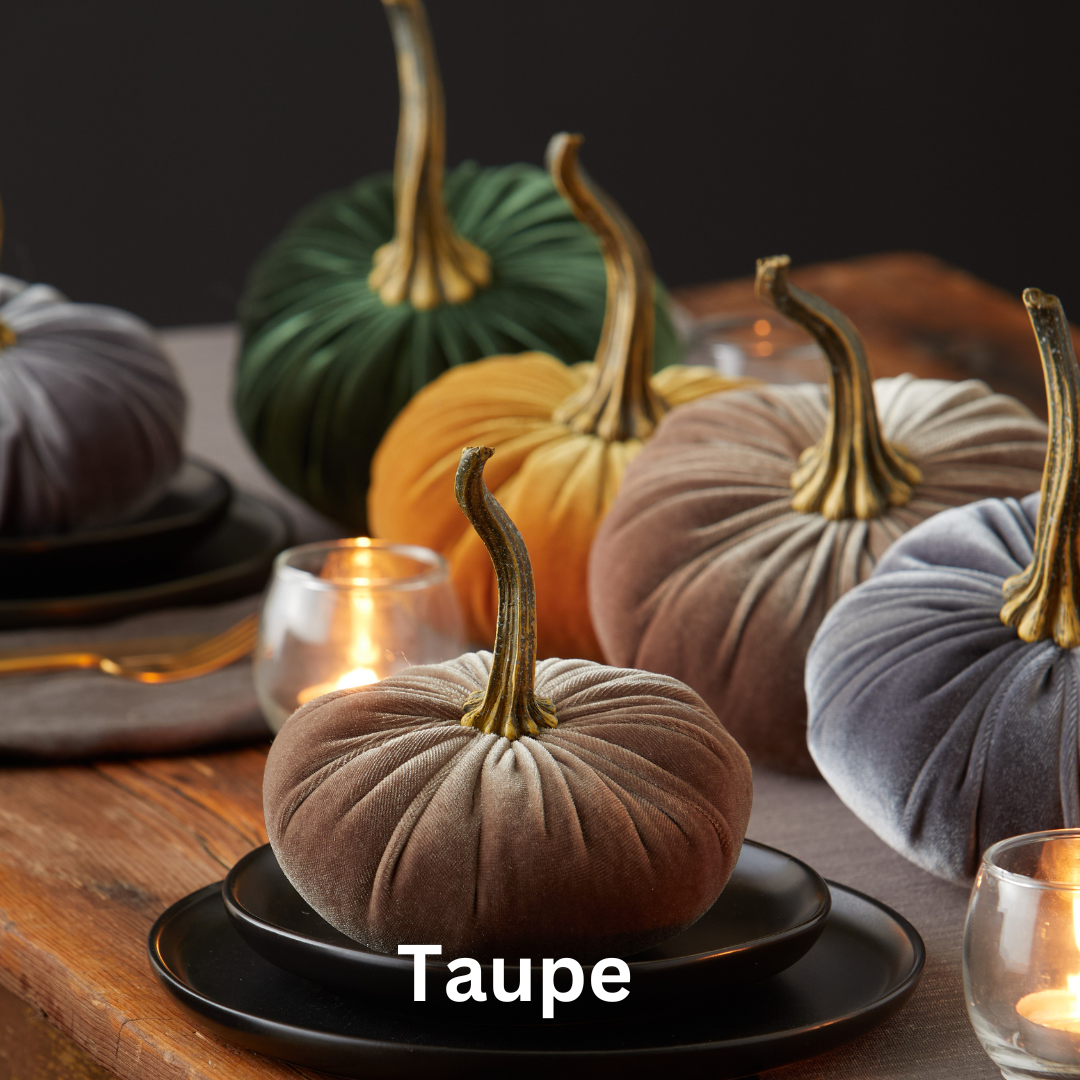 Pumpkin Small Velvet - Slate Blue