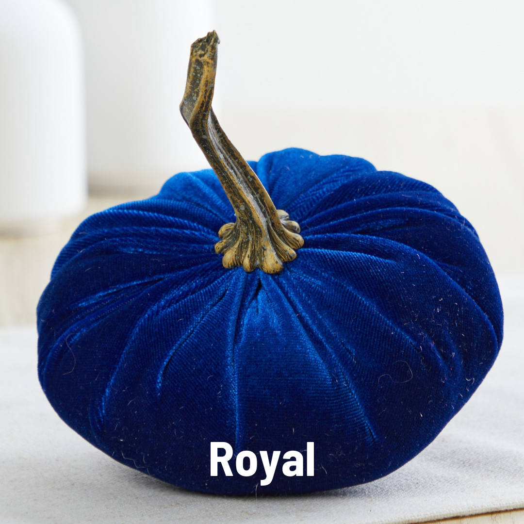 Pumpkin Small Velvet - Ivory
