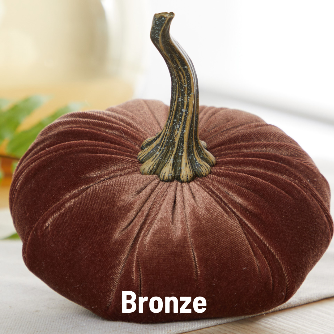 Pumpkin Large Velvet - Bronze