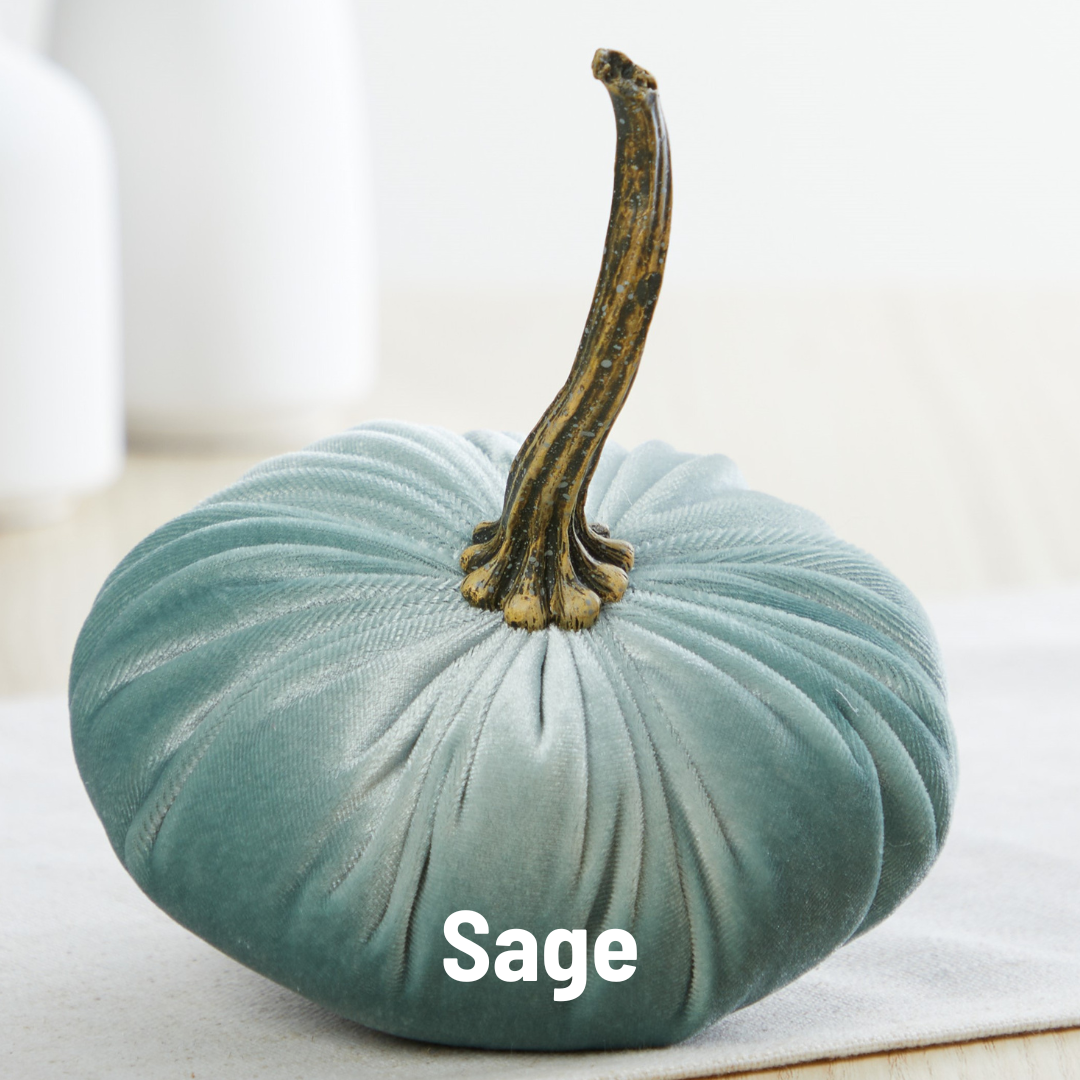 Pumpkin Small Velvet - Bronze