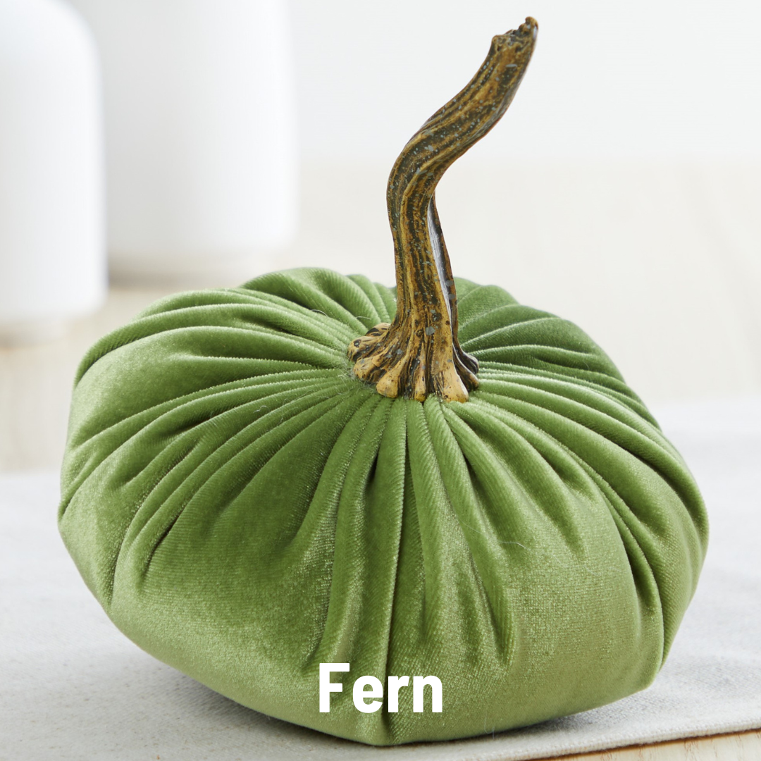 Pumpkin Small Velvet - Bronze
