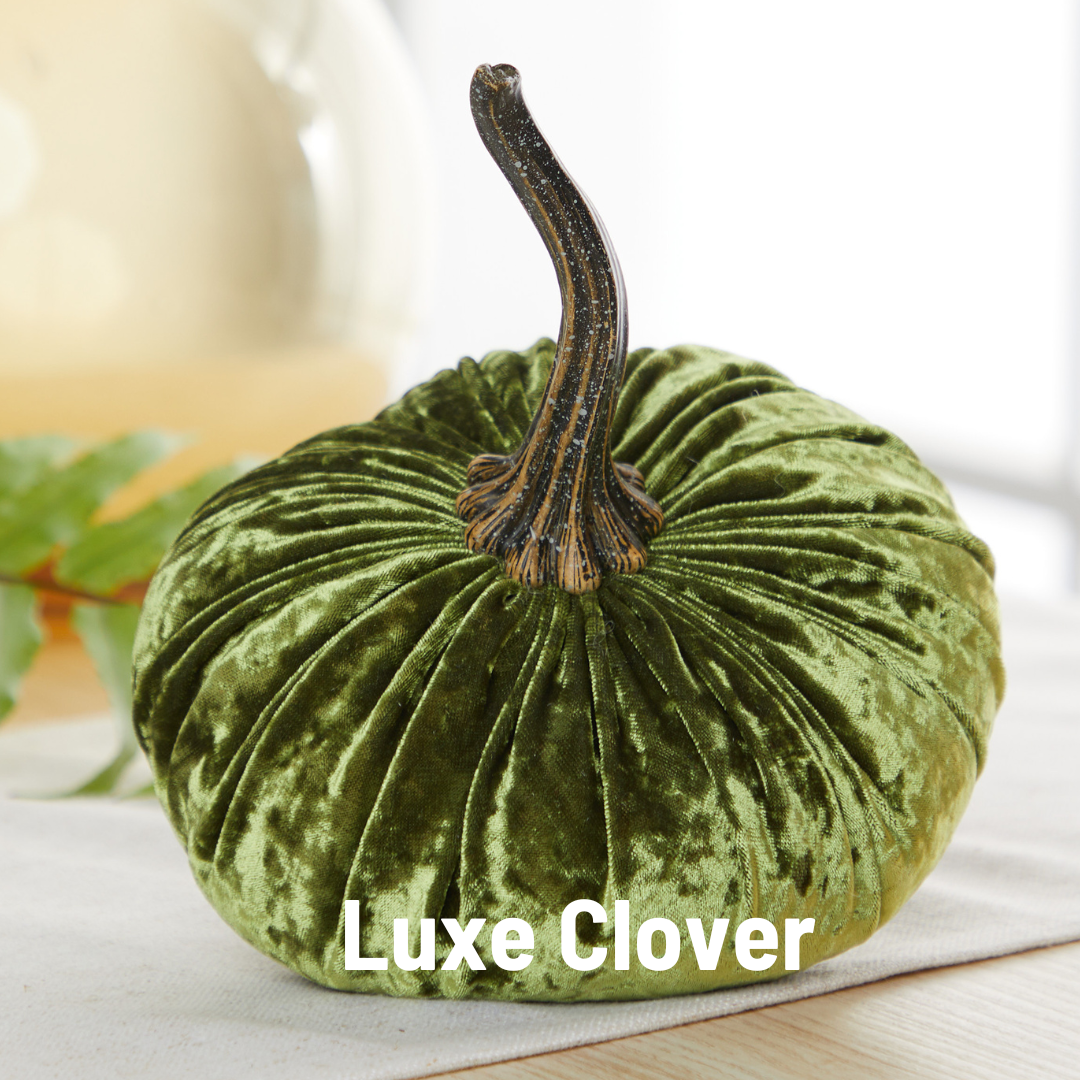 Pumpkin Large Velvet - Slate Blue