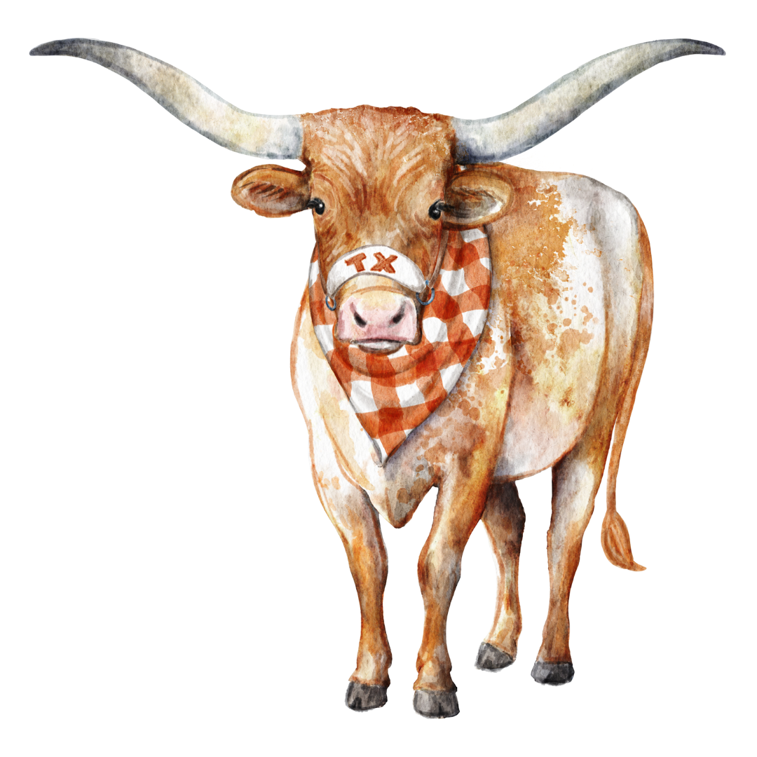 Lonestar Longhorn Frosted Cups - 16 oz