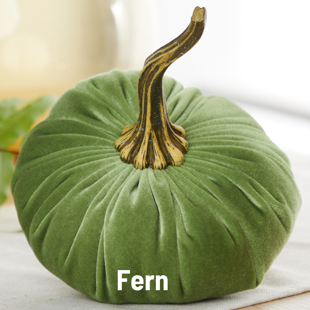 Pumpkin Large Velvet - Slate Blue