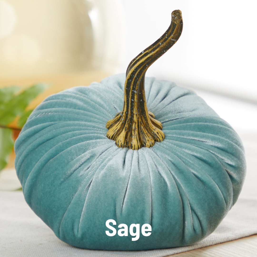 Pumpkin Large Velvet - Bronze