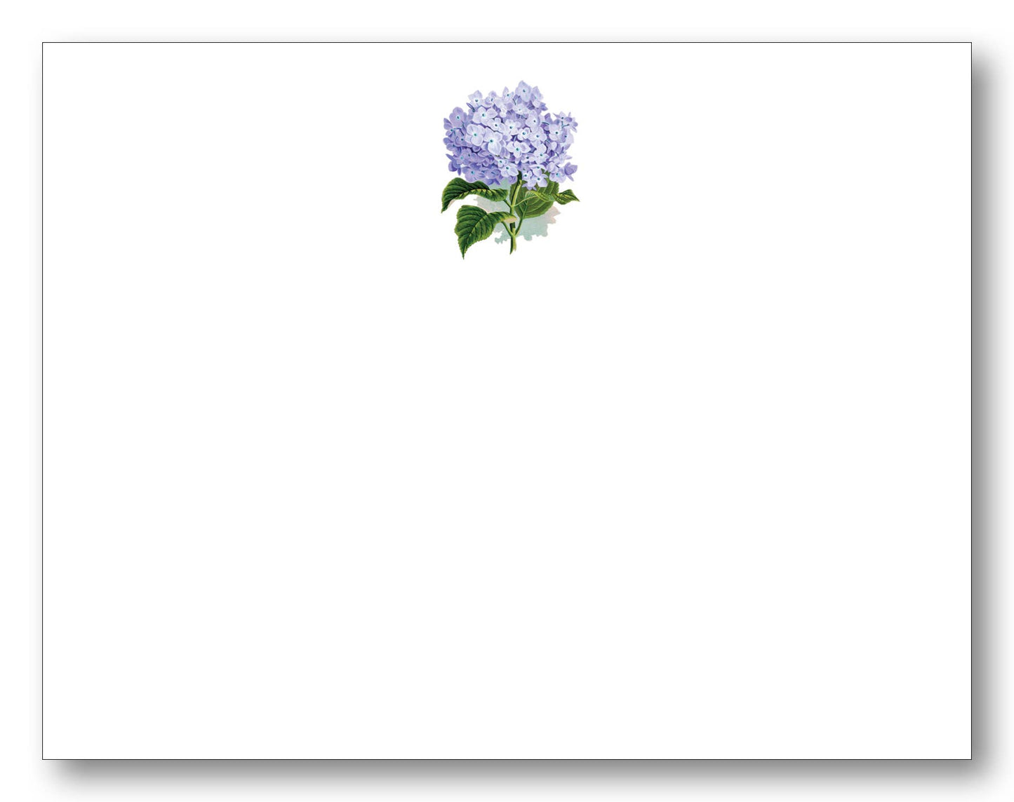 Hydrangea Flat Card