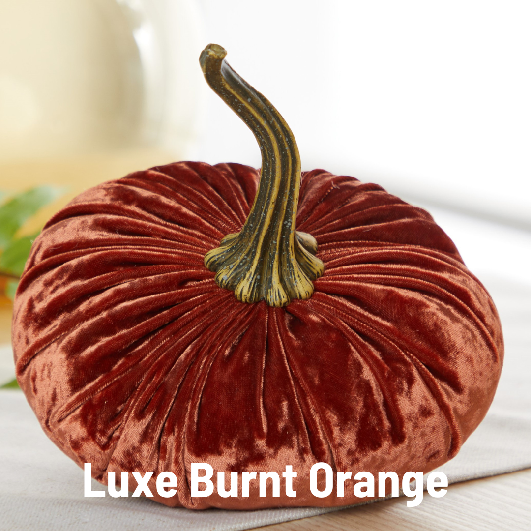 Pumpkin Large Velvet - Slate Blue