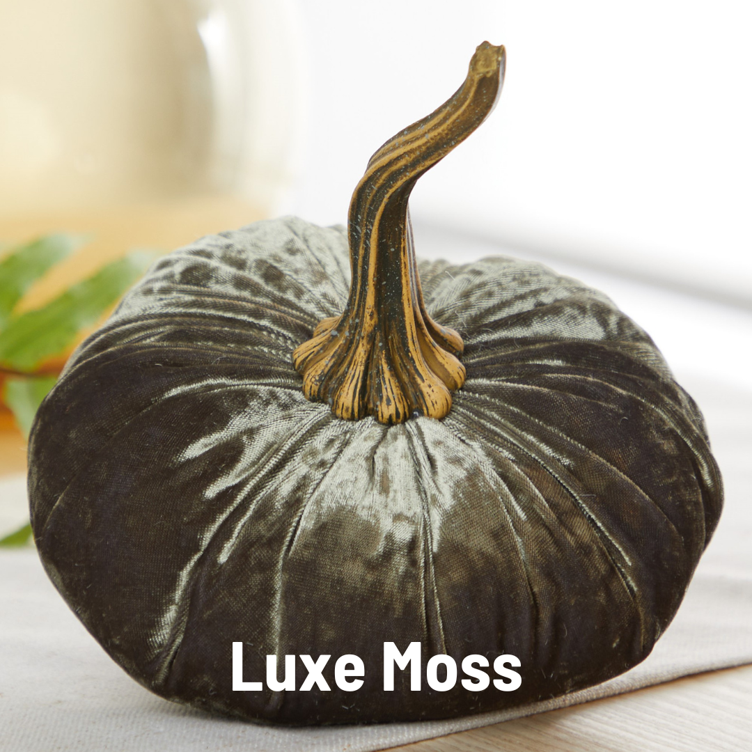 Pumpkin Large Velvet - Bronze