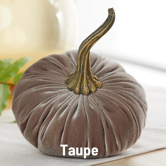 Pumpkin Large Velvet - Taupe