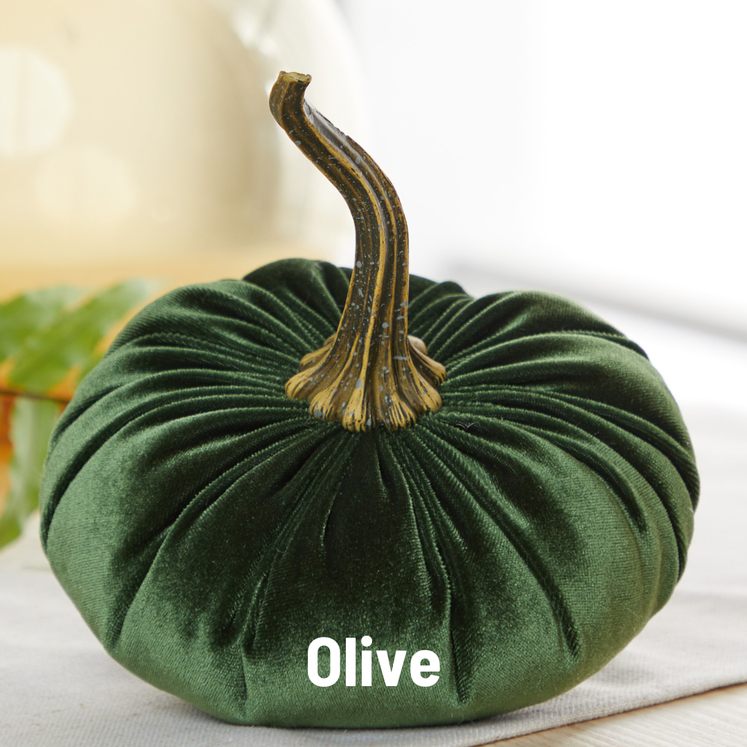 Pumpkin Large Velvet - Slate Blue
