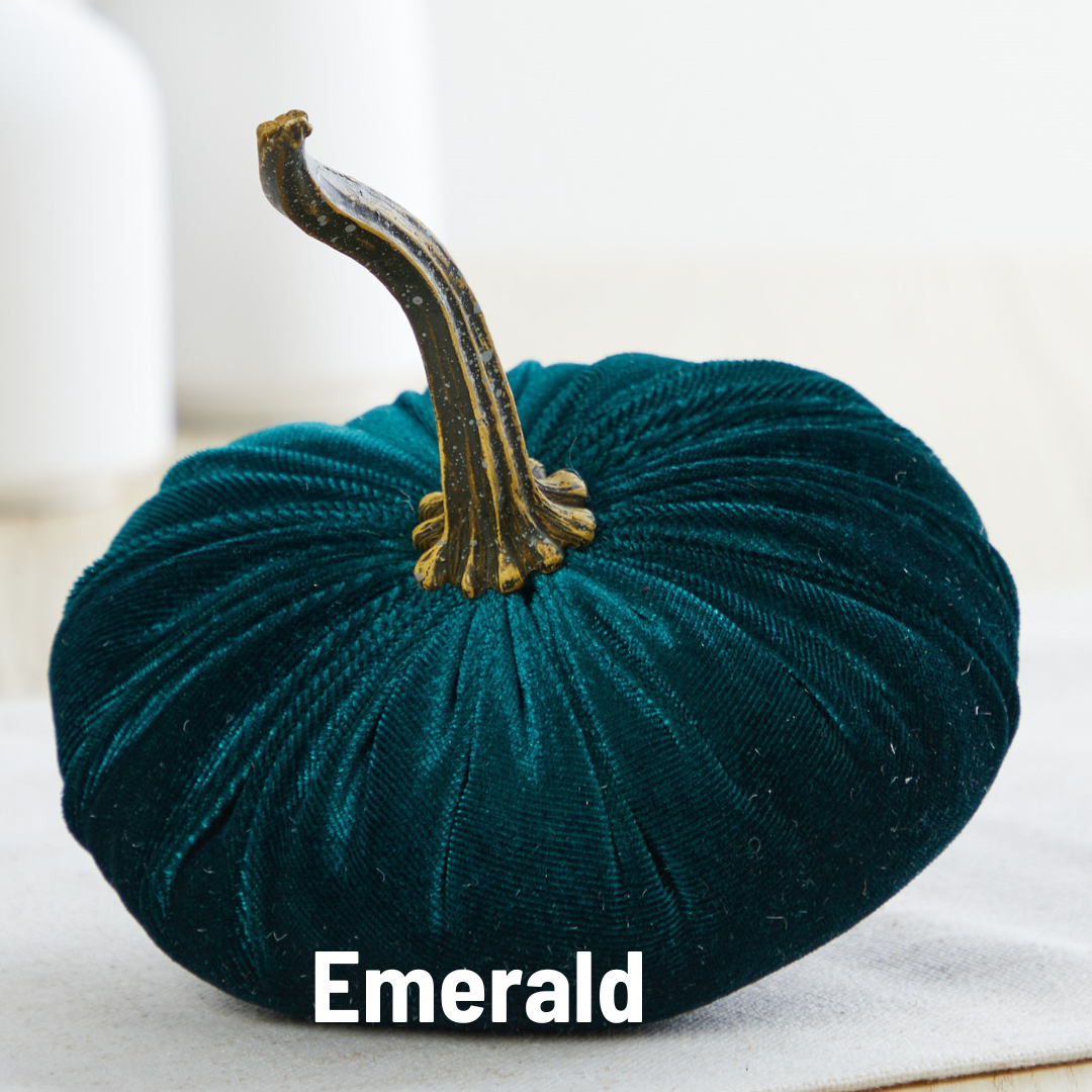 Pumpkin Small Velvet - Taupe