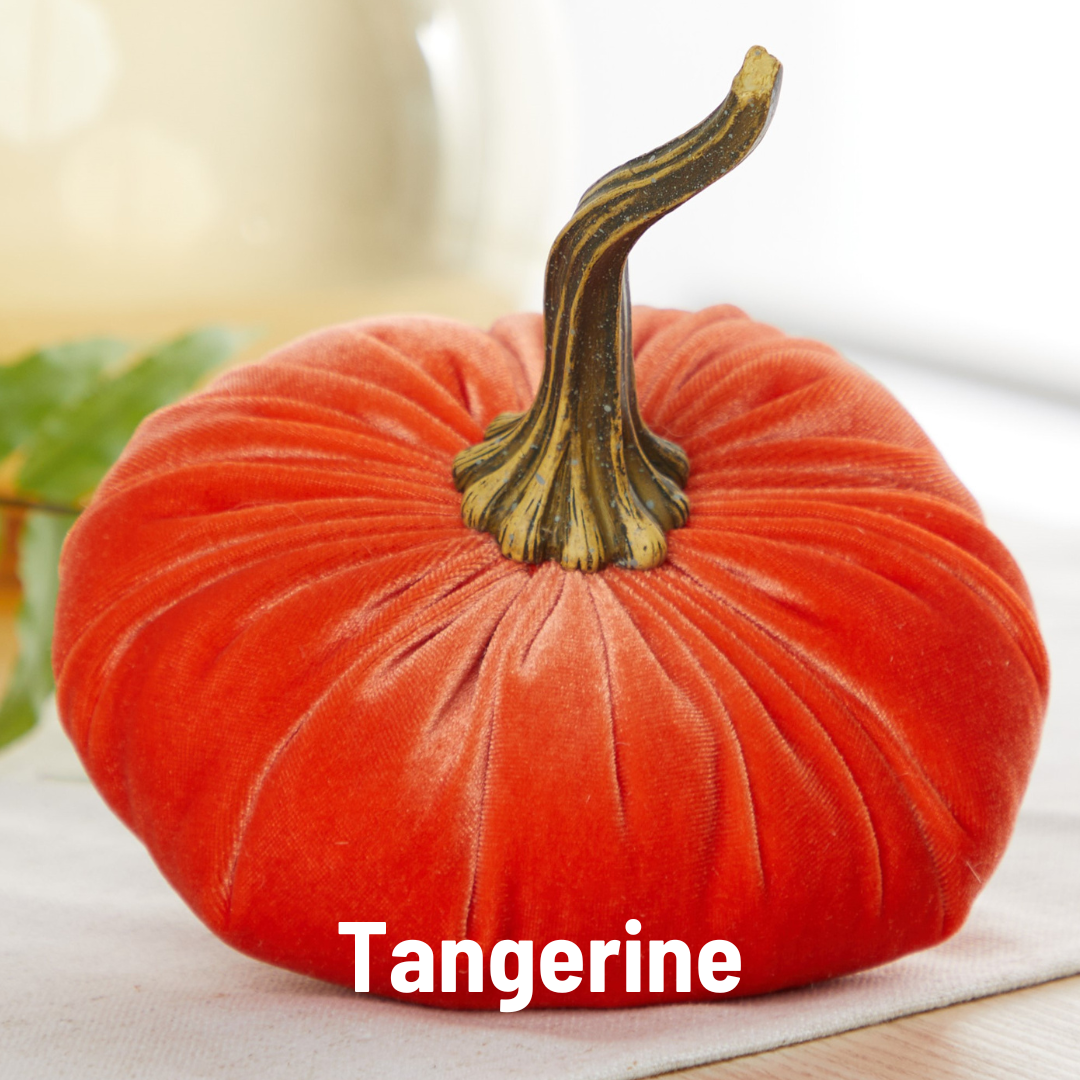 Pumpkin Large Velvet - Bronze