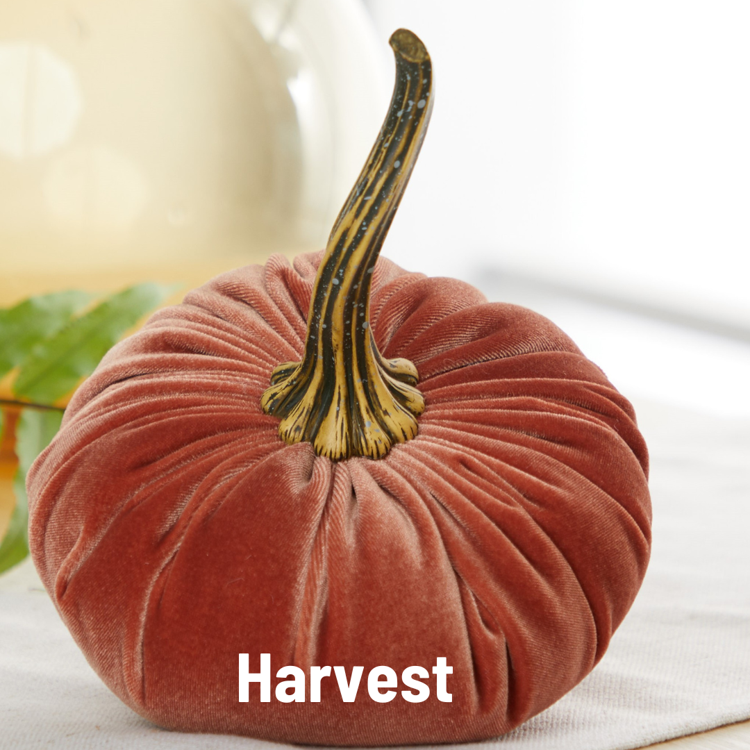 Pumpkin Large Velvet - Slate Blue
