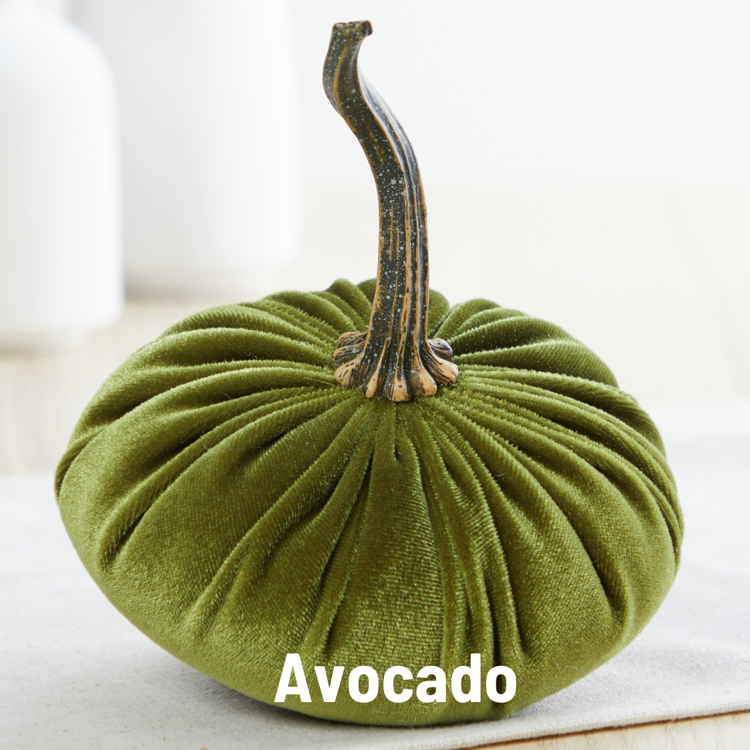 Pumpkin Small Velvet - Bronze
