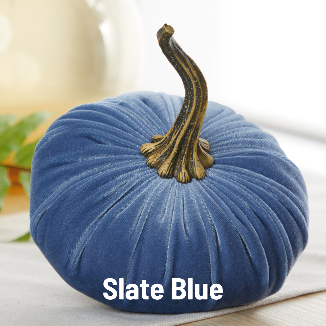 Pumpkin Large Velvet - Bronze