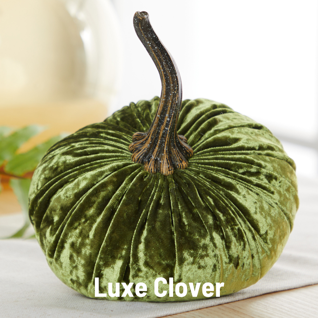 Pumpkin Small Velvet - Harvest