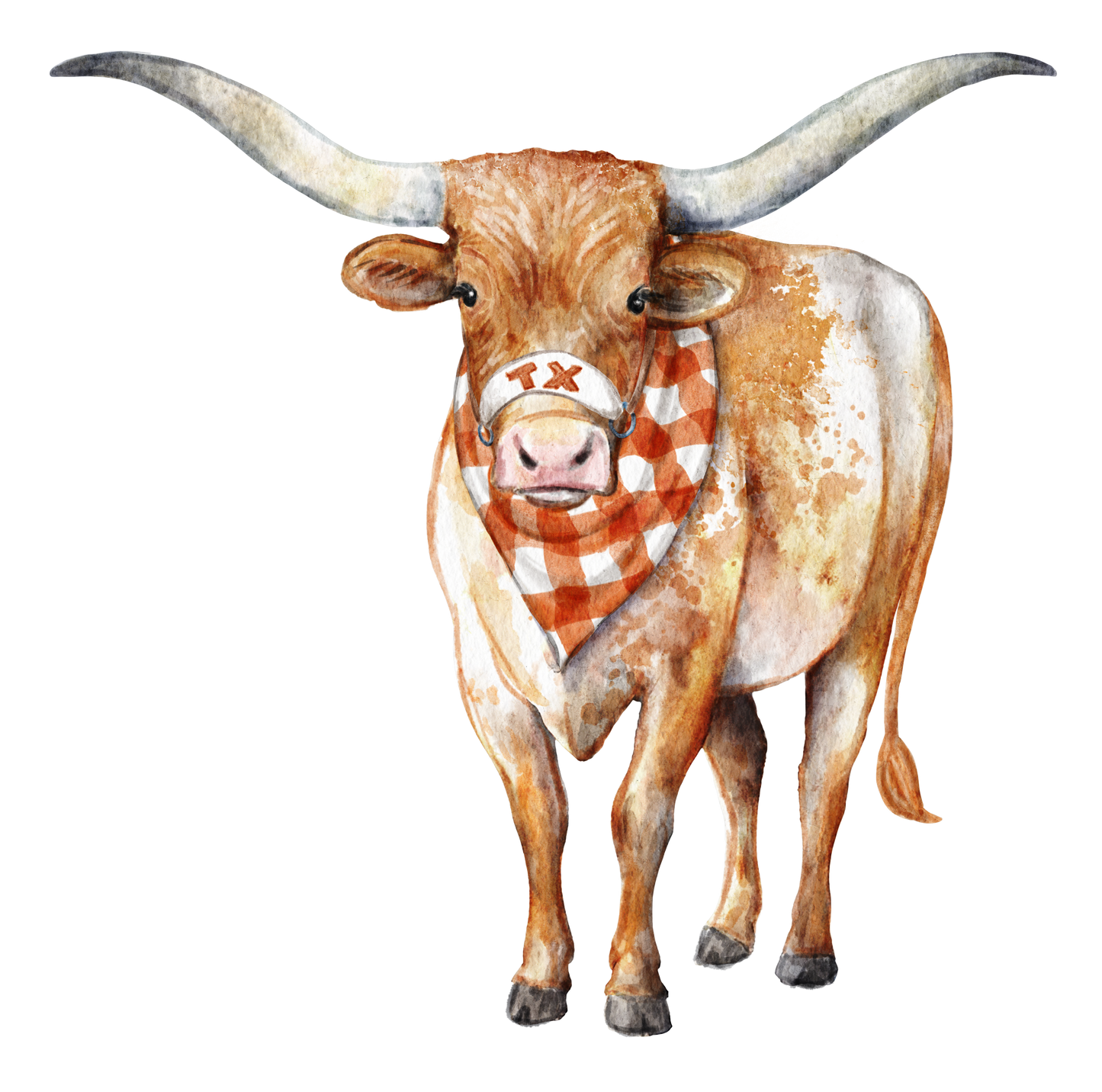 Lonestar Longhorn Garden Stake