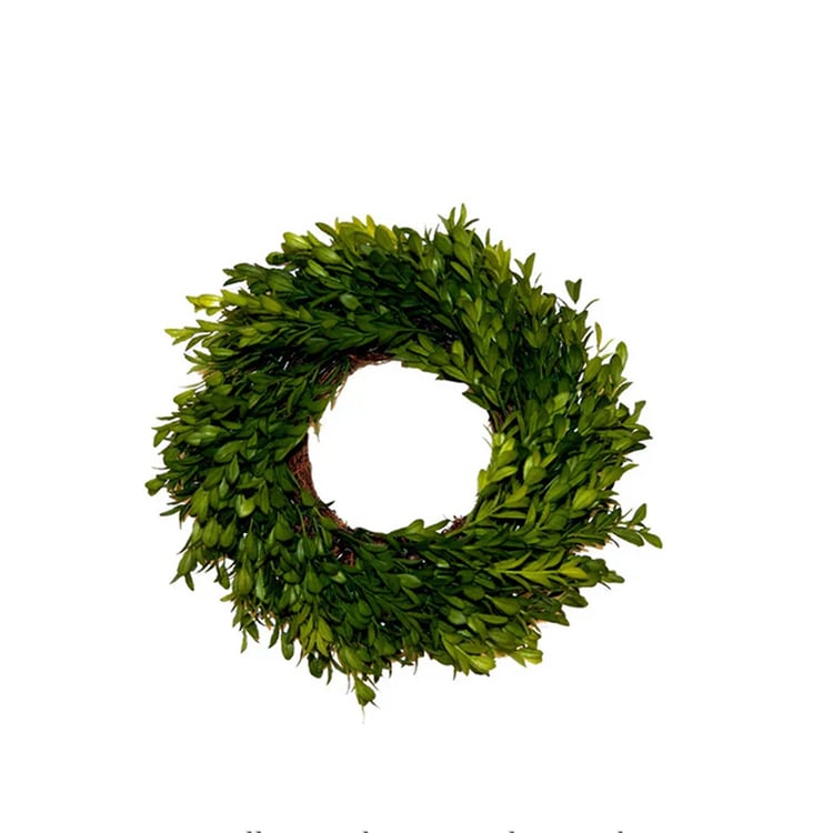 Mini Boxwood Wreath - Round, 11"