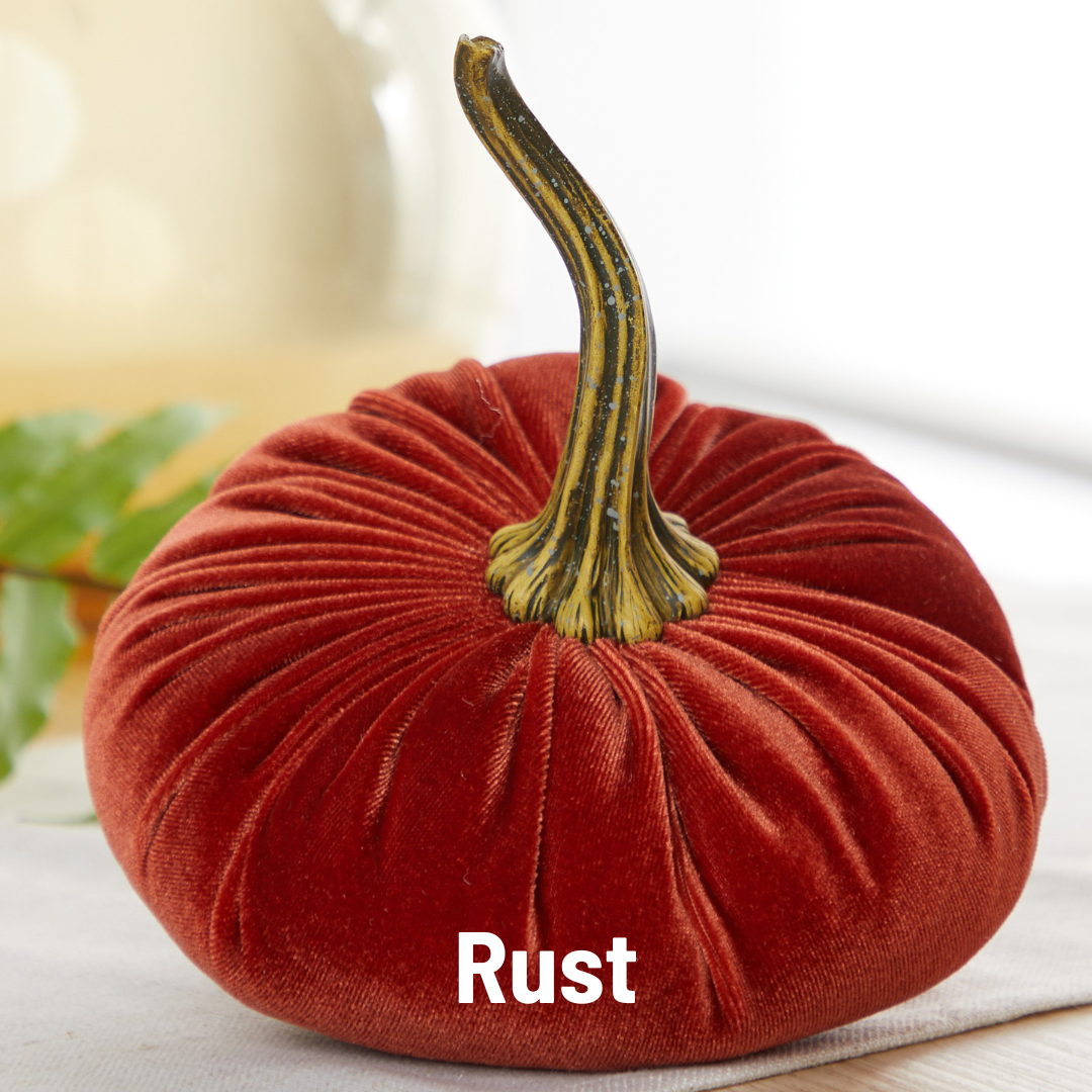 Pumpkin Large Velvet - Bronze