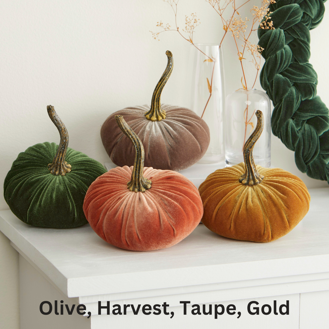 Pumpkin Small Velvet - Avocado