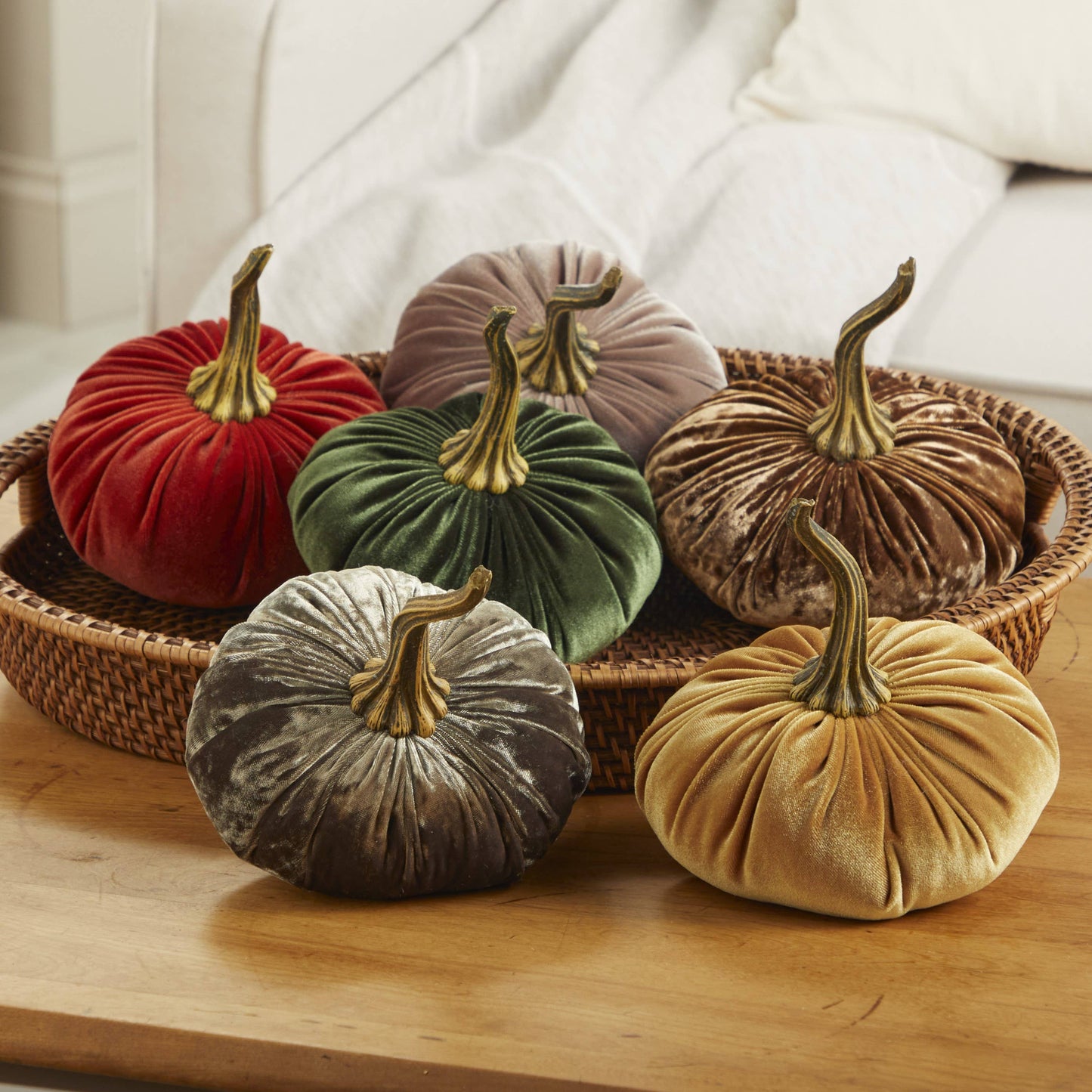 Pumpkin Large Velvet - Bronze
