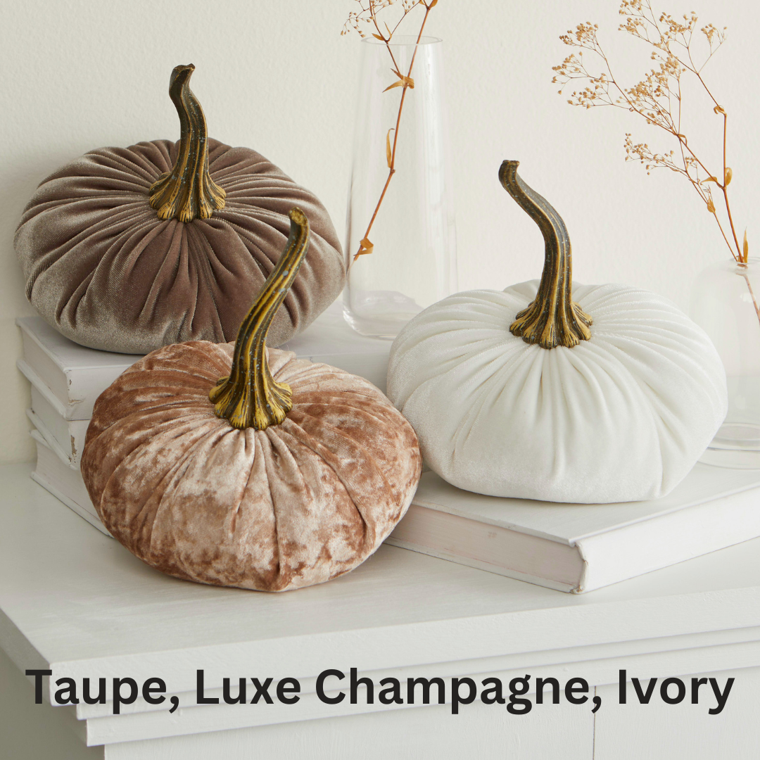 Pumpkin Small Velvet - Gold