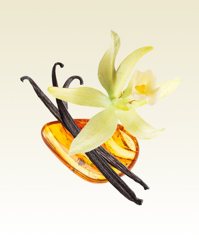 Kyoto in Bloom Candle (26.8 oz)