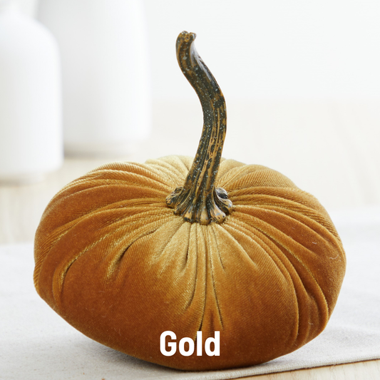 Pumpkin Small Velvet - Gold