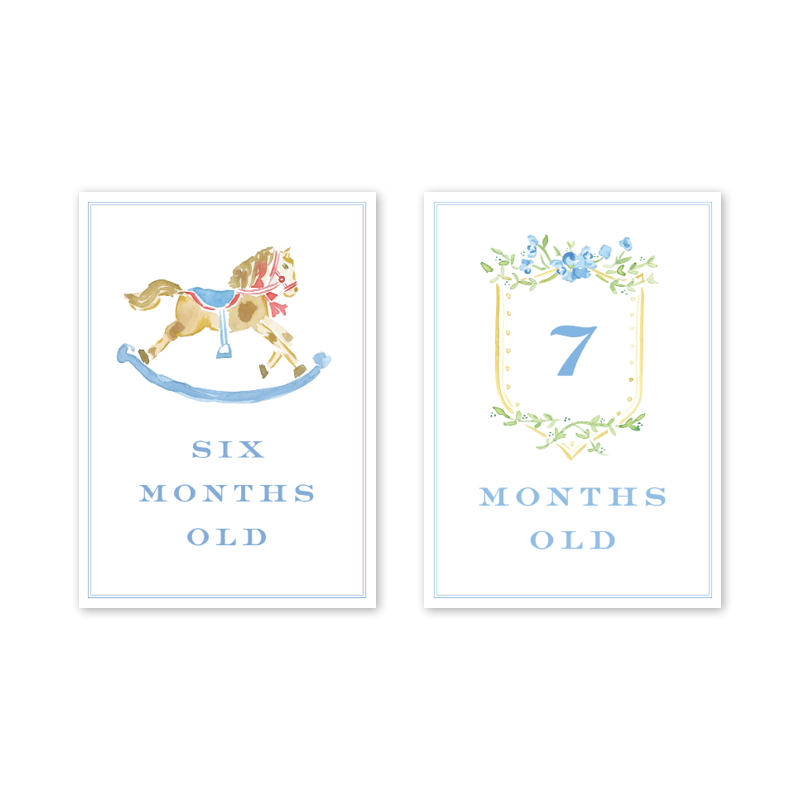 Joys of Boys Milestone Cards - Set/15