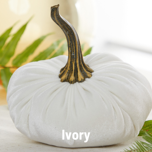 Pumpkin Large Velvet - Ivory
