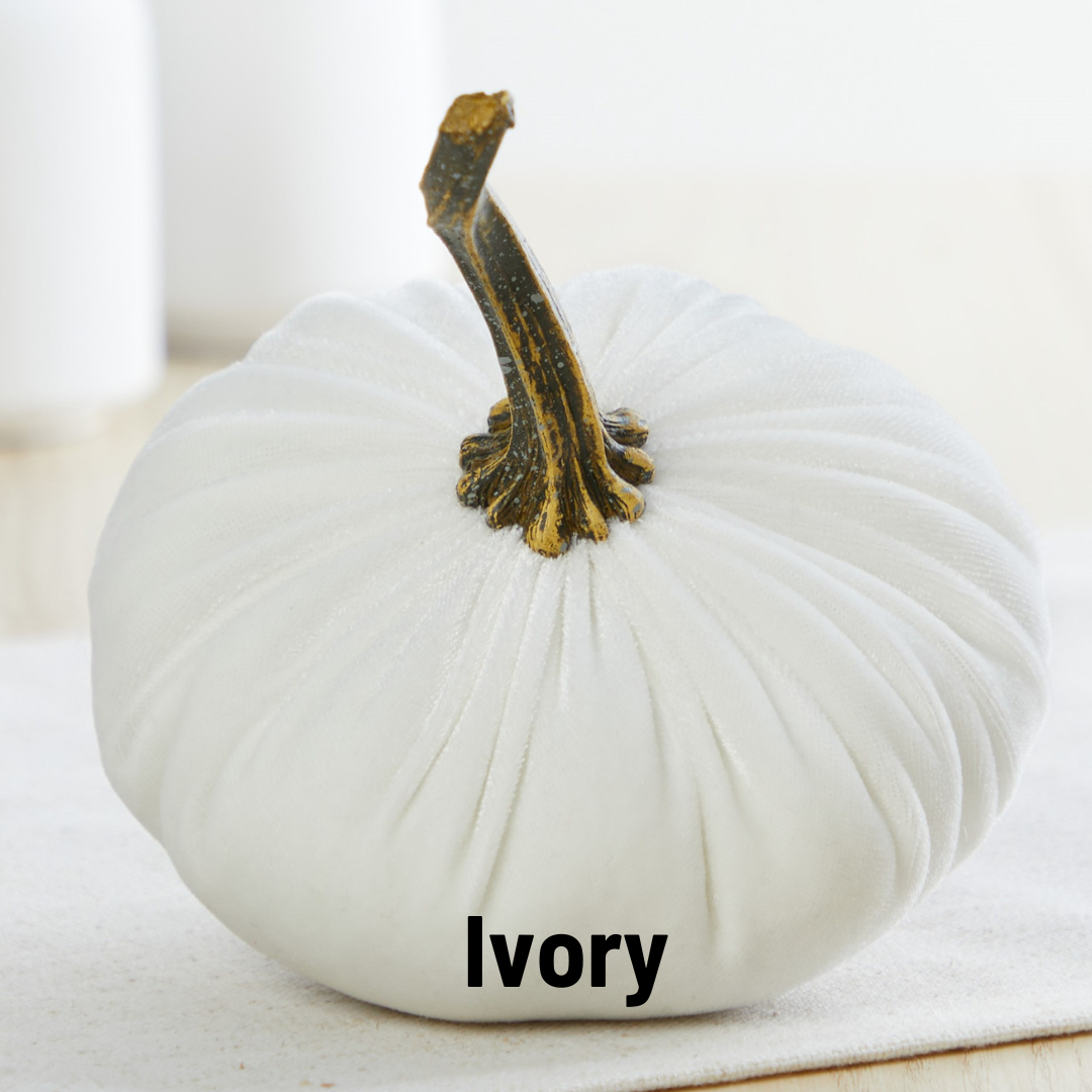 Pumpkin Small Velvet - Ivory