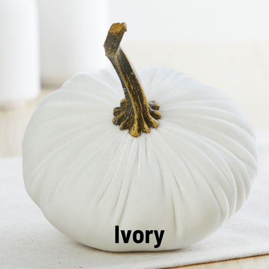 Pumpkin Small Velvet - Ivory