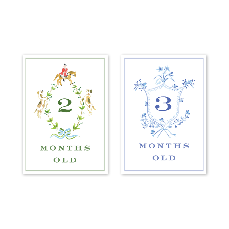 Joys of Boys Milestone Cards - Set/15