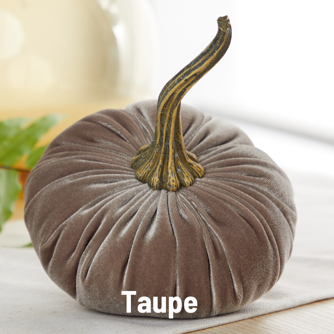 Pumpkin Large Velvet - Taupe