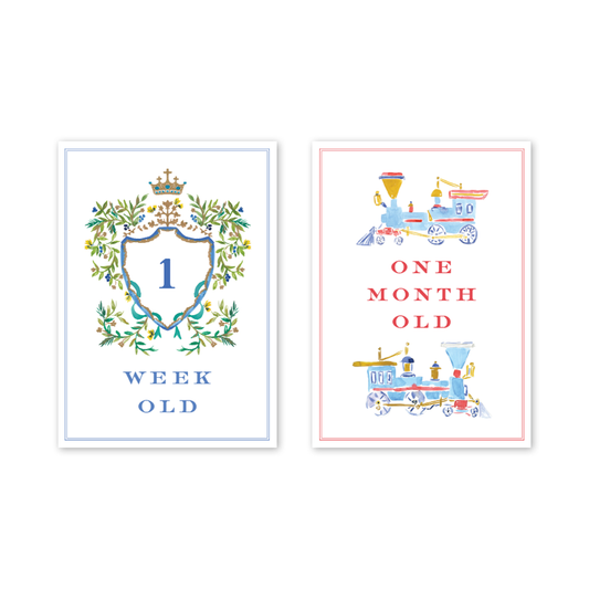 Joys of Boys Milestone Cards - Set/15