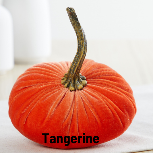 Pumpkin Small Velvet - Tangerine