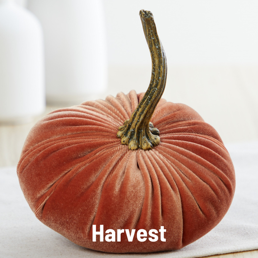 Pumpkin Small Velvet - Harvest