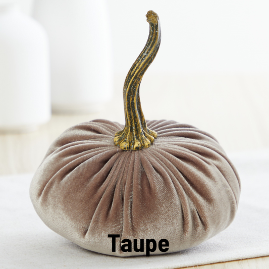 Pumpkin Small Velvet - Taupe