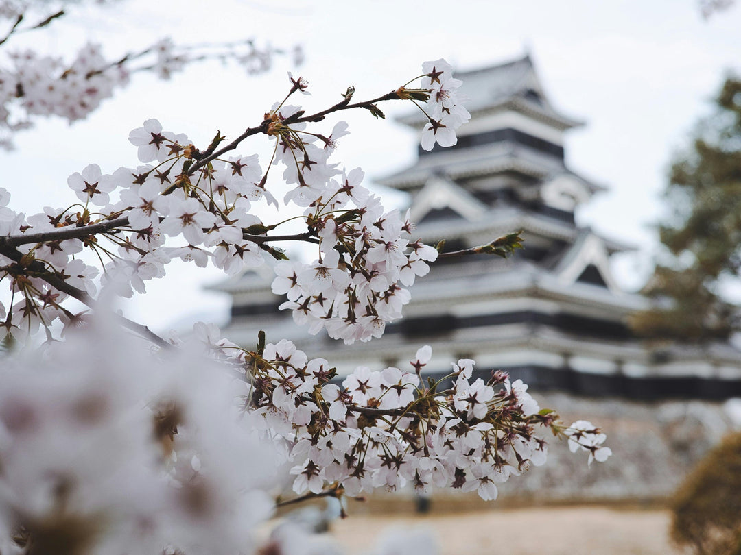 Kyoto in Bloom Candle (26.8 oz)