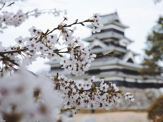 Kyoto in Bloom Candle (26.8 oz)